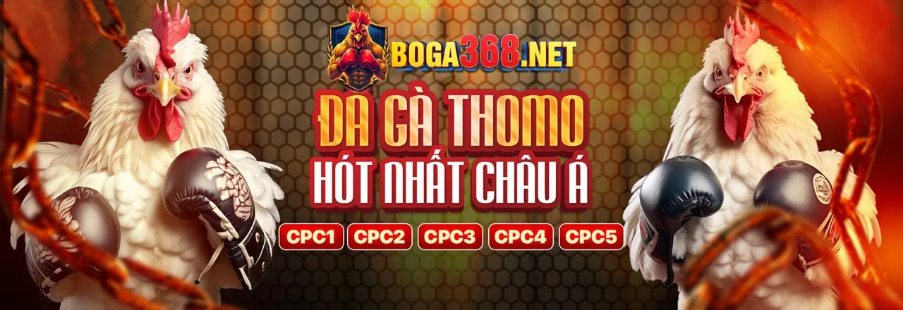 Hướng dẫn tải ứng dụng 123duabi